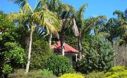 Palm Grove Cottages Bay of Islands